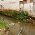 A Obrigatoriedade da Declaração de Regularidade Sanitária em Face ao Impacto Ambiental