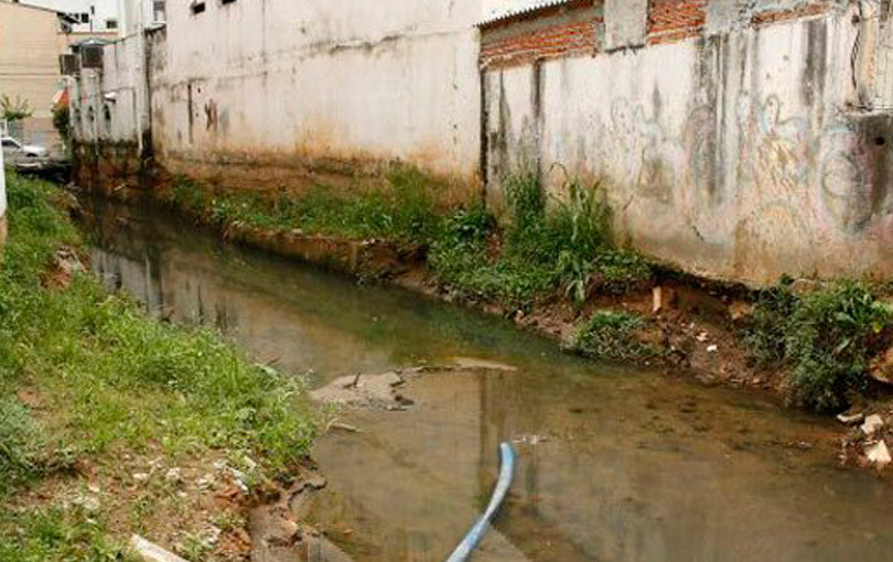 A Obrigatoriedade da Declaração de Regularidade Sanitária em Face ao Impacto Ambiental